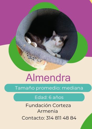 Almendra.jpg