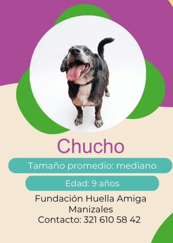 Chucho.jpg