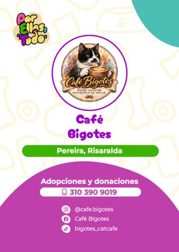 Directorio_Fundaciones_F_1