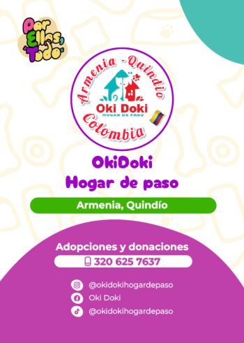 Directorio_Fundaciones_F_10