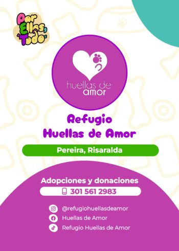Directorio_Fundaciones_F_11