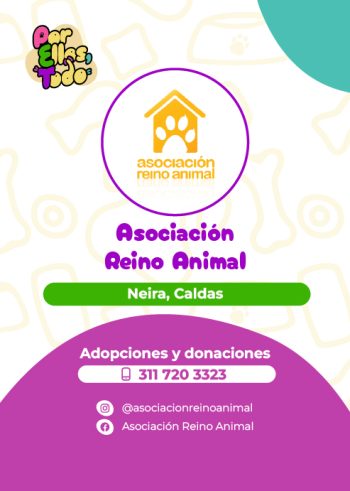 Directorio_Fundaciones_F_12