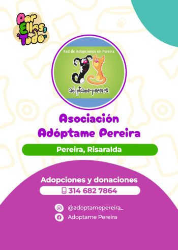 Directorio_Fundaciones_F_13