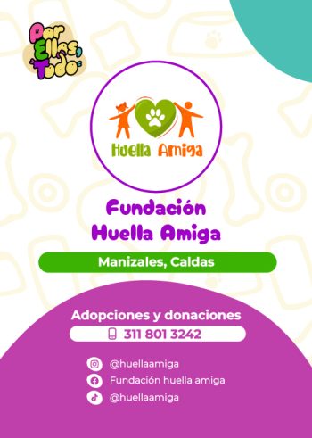 Directorio_Fundaciones_F_2