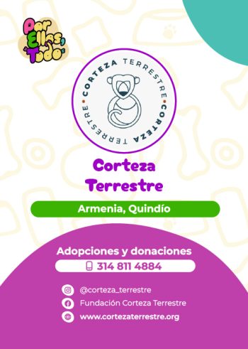 Directorio_Fundaciones_F_3
