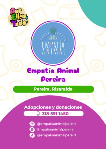 Directorio_Fundaciones_F_4