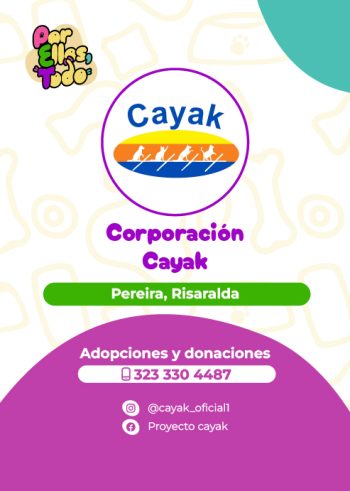 Directorio_Fundaciones_F_5