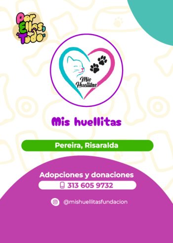 Directorio_Fundaciones_F_6