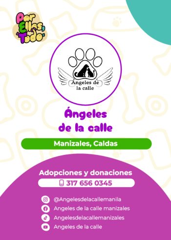 Directorio_Fundaciones_F_7