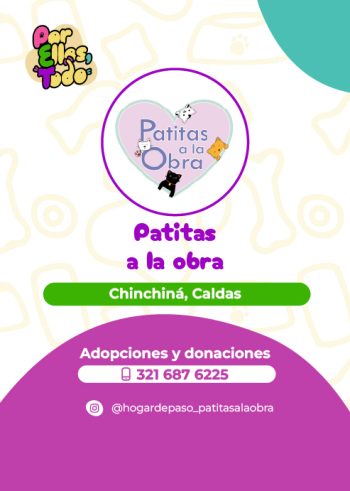 Directorio_Fundaciones_F_9