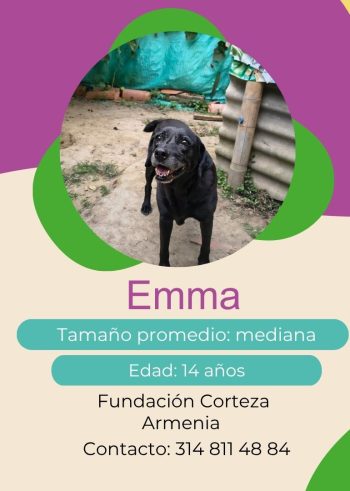 Emma.jpg