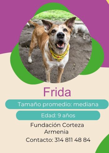 Frida.jpg