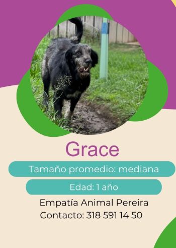 Grace.jpg