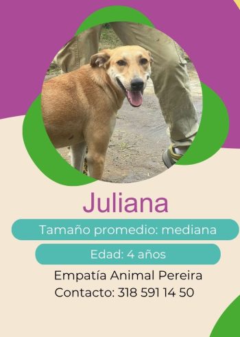 Juliana.jpg
