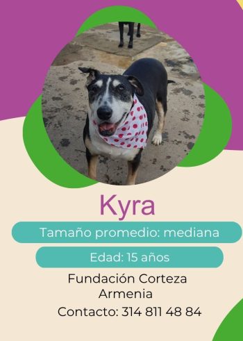 Kyra.jpg