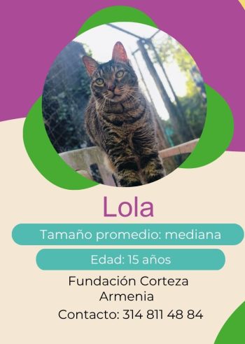 Lola.jpg