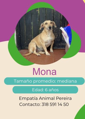 Mona.jpg