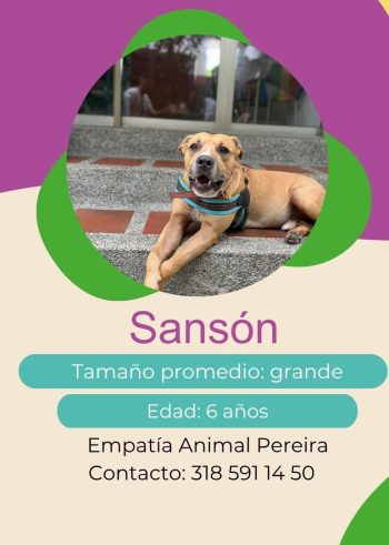 Sansón.jpg