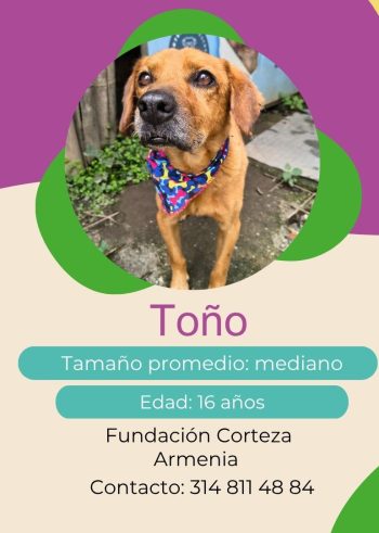 Toño.jpg